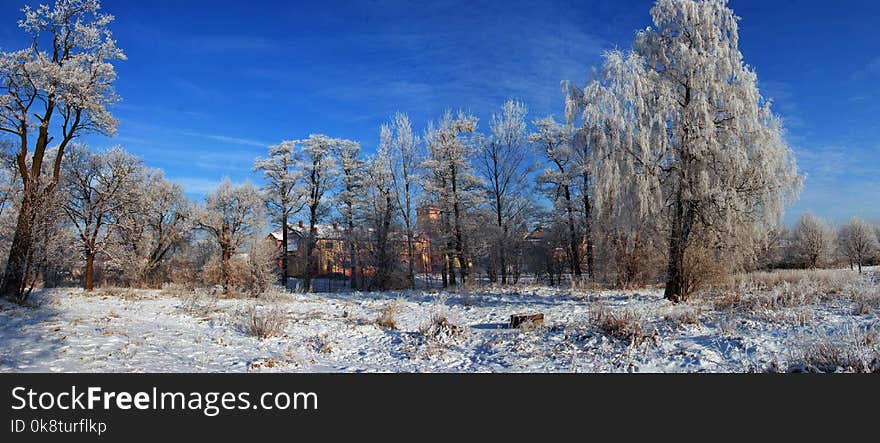 Winter, Sky, Ecosystem, Snow