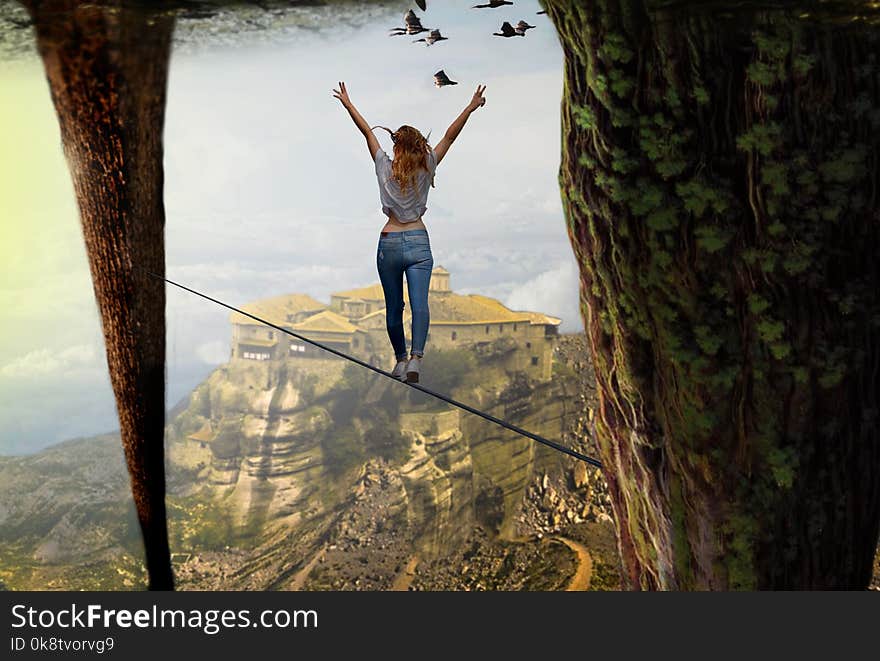 Tree, Sky, Extreme Sport, Water