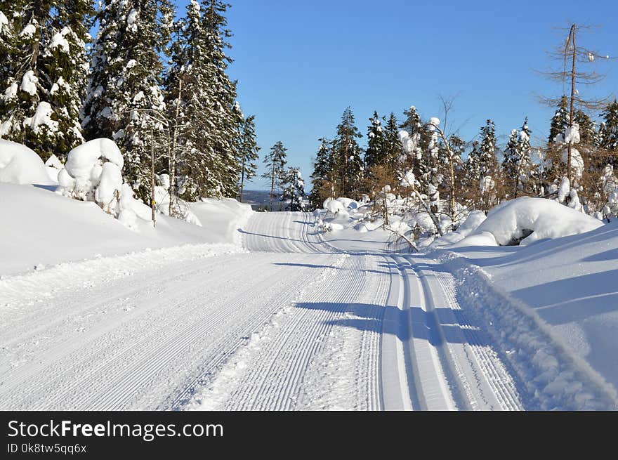 Snow, Winter, Tree, Piste