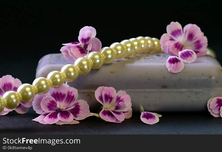 Flower, Jewellery, Blossom, Hair Accessory