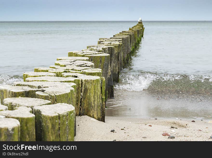 Shore, Coast, Sea, Breakwater