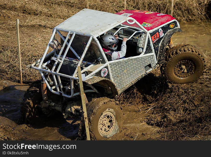 Car, Off Road Racing, Off Roading, Vehicle