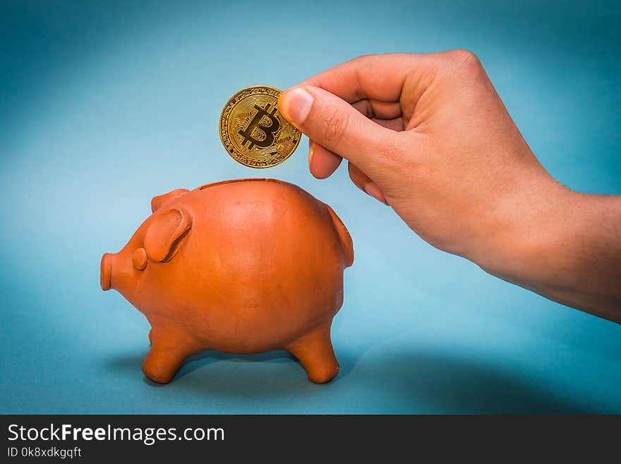 Hand introducing bitcoin coin in old piggy bank.