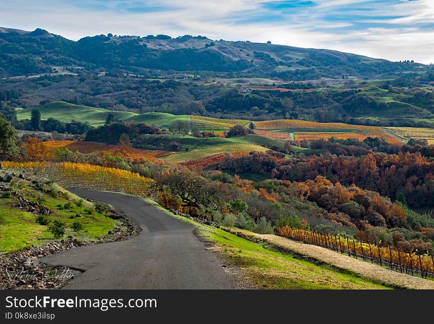 Winding road leading to a valley surrounded by vineyards in fall color. Winding road leading to a valley surrounded by vineyards in fall color