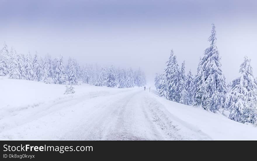 Winter Landscape On The Brocken Near Schierke