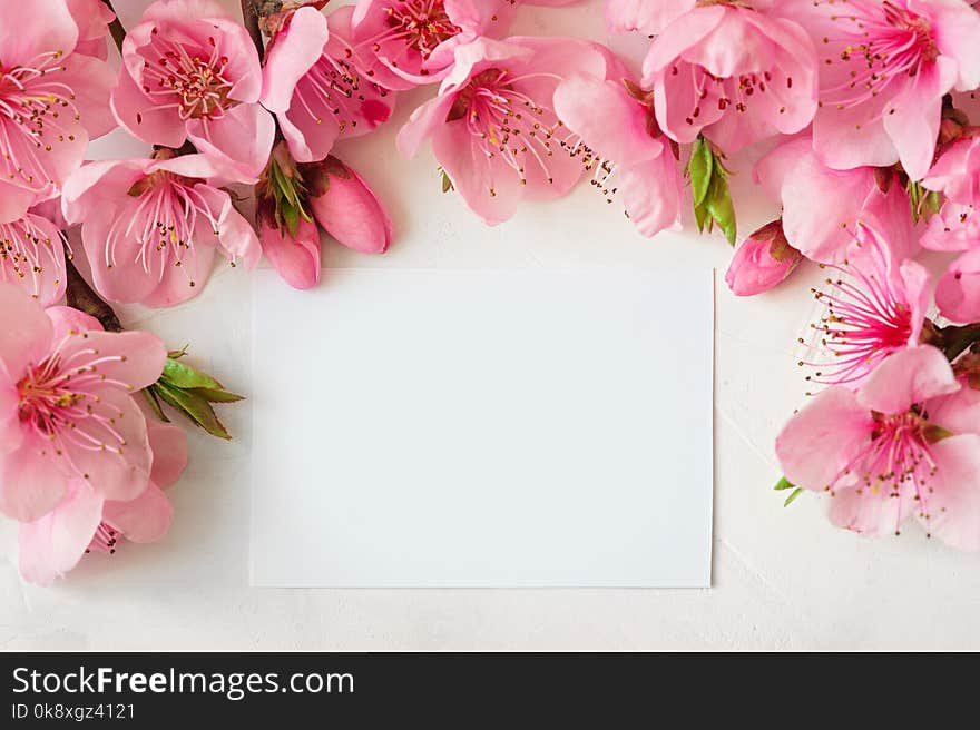 Frame of pink flowers, branches, leaves and lilac petals on white background. Flat lay, top view. Frame of pink flowers, branches, leaves and lilac petals on white background. Flat lay, top view