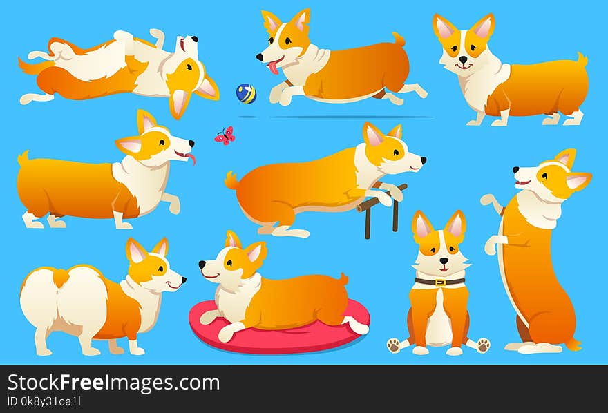 Set of cute dogs breed Welsh Corgi Pembroke on white background. A domestic pet, a happy royal animal for girls. Funny Red haired puppy looks like a fox. Vector illustration. Set of cute dogs breed Welsh Corgi Pembroke on white background. A domestic pet, a happy royal animal for girls. Funny Red haired puppy looks like a fox. Vector illustration