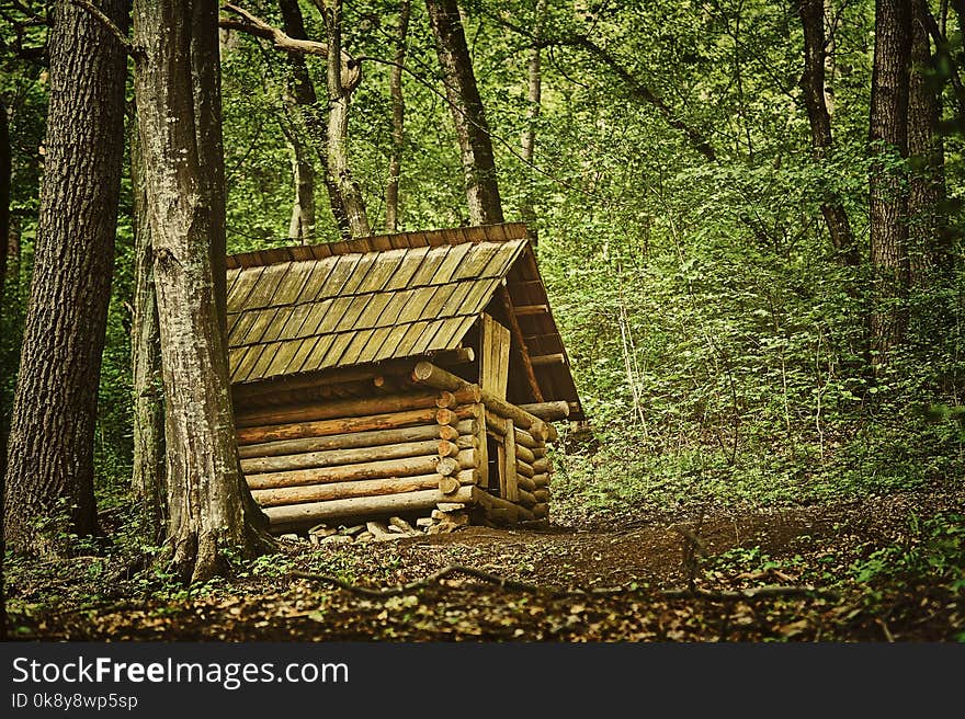 Small Barn in the Forest