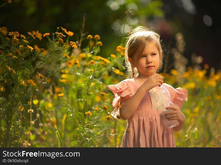 Toddler girl in a pink dress holding bottle of water. Toddler girl in a pink dress holding bottle of water