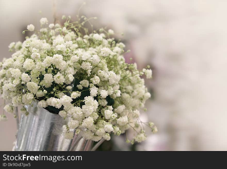 Gypsophila White flower are beautiful bouquets.Decorated with other flowers.