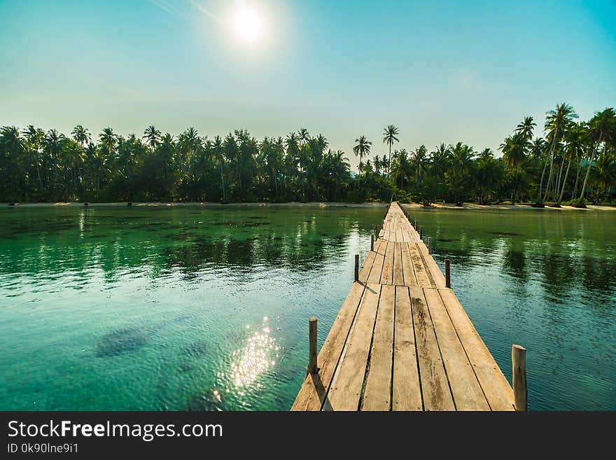 Wood bridge or pier on the beach and sea in paradise island around with coconut palm tree - Holiday Vacation and Travel concept