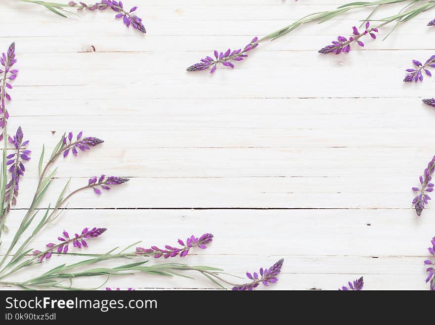 Violet Flowers On White Wooden Background