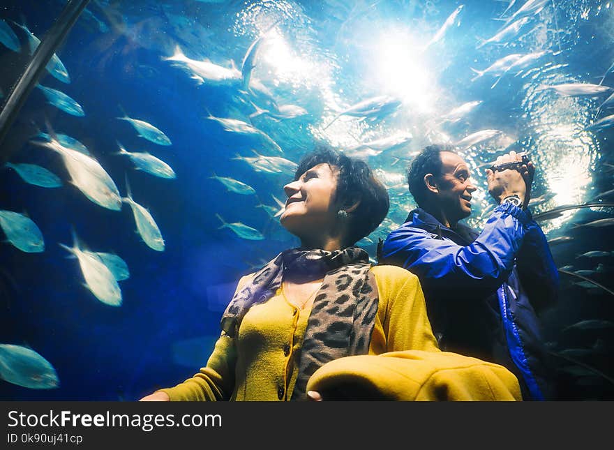 Adult man and woman tourists watching fishes in the aquarium tunnel