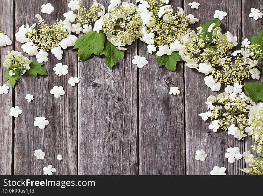 White flowers on old wooden background