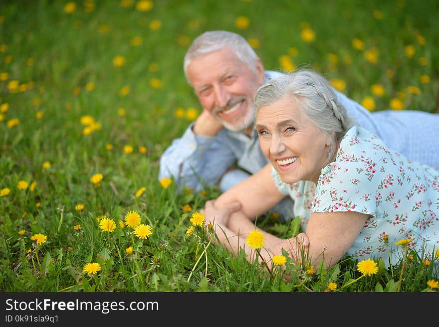 Senior couple lying on green meadow with dandelions