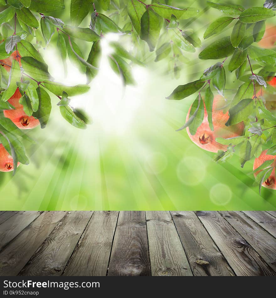 Pomegranate fruit and green leaves on abstract background