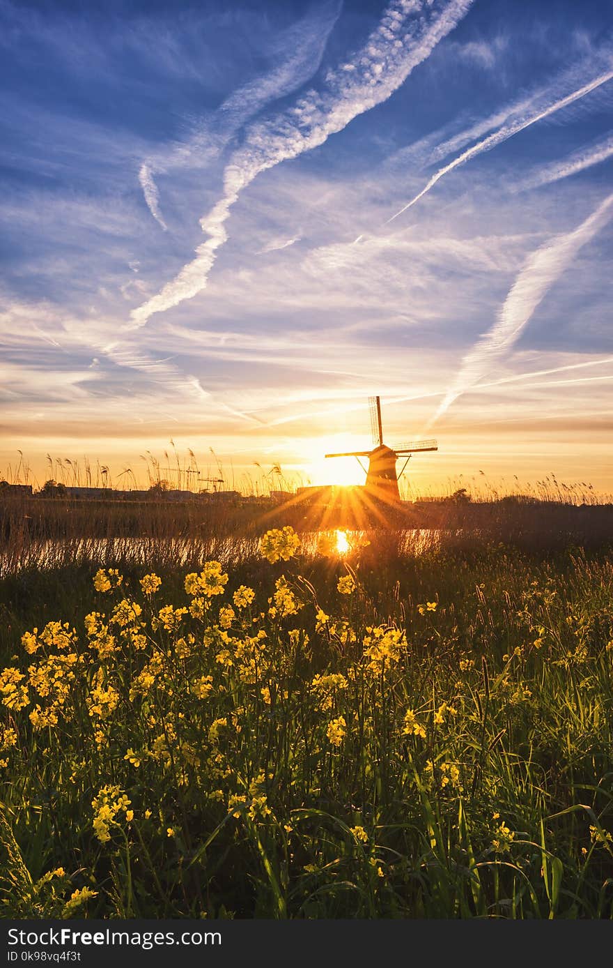 Beautiful sunset in the park of mills with yellow flowers and blue sky, traditional dutch rural landscape, vertical image, Kinderdijk, Netherlands. Beautiful sunset in the park of mills with yellow flowers and blue sky, traditional dutch rural landscape, vertical image, Kinderdijk, Netherlands