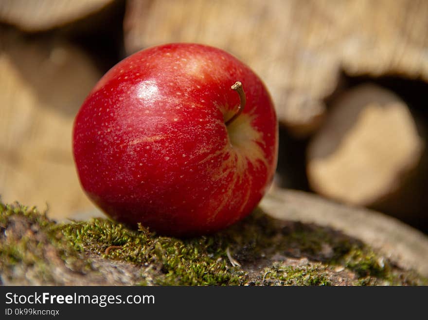 Apple, Fruit, Local Food, Close Up