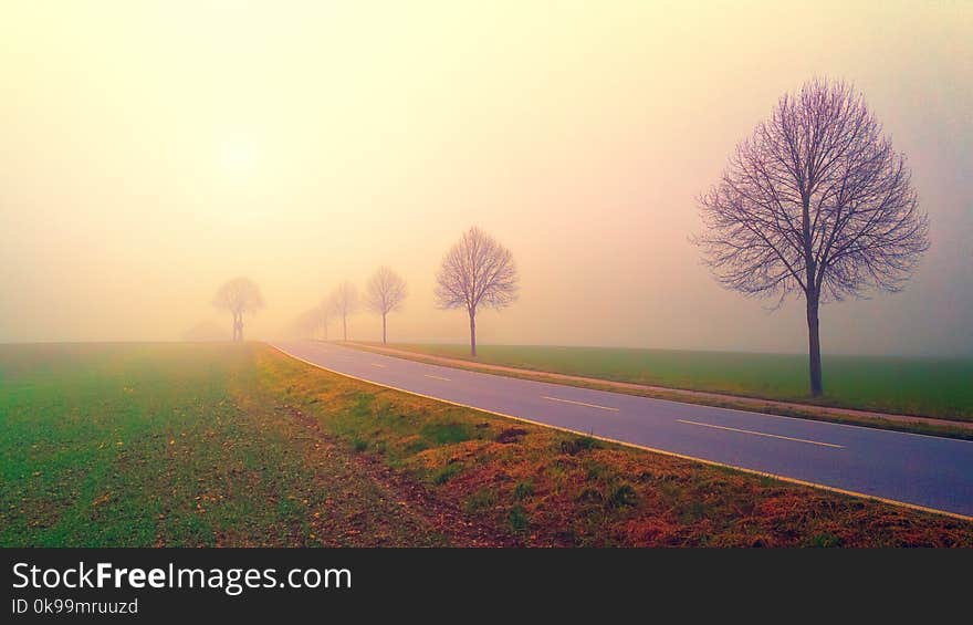 Road, Sky, Morning, Fog