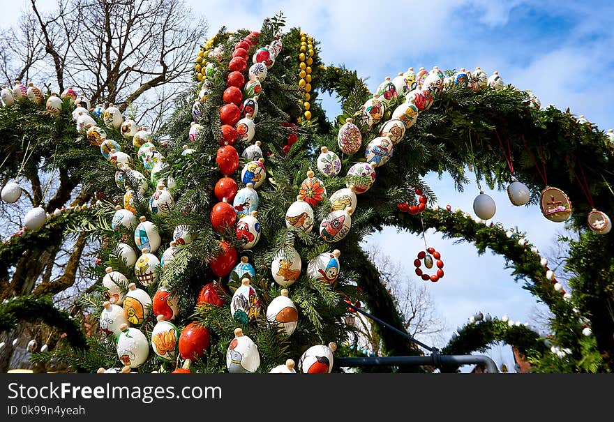 Tree, Christmas Decoration, Tradition, Plant