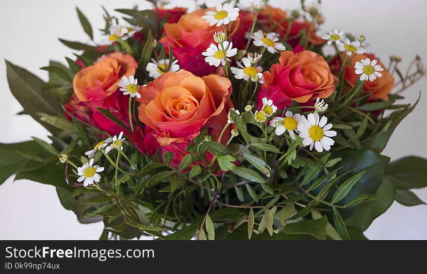 Flower, Flower Arranging, Floristry, Flower Bouquet