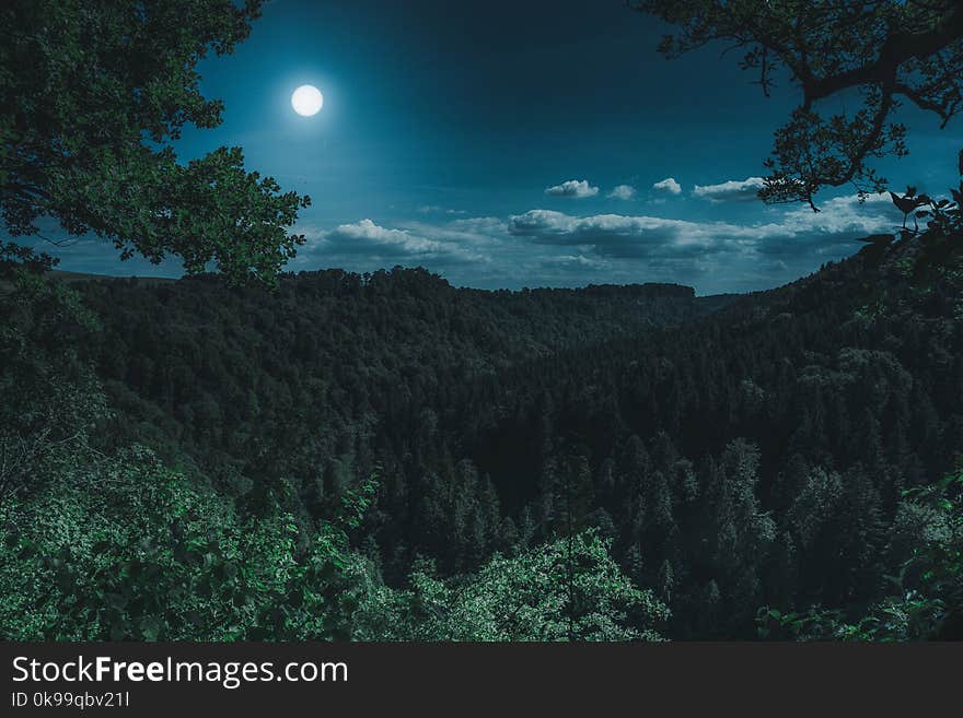 Nature, Sky, Vegetation, Ecosystem