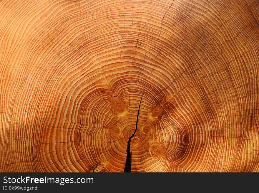 Wood, Close Up, Texture, Pattern