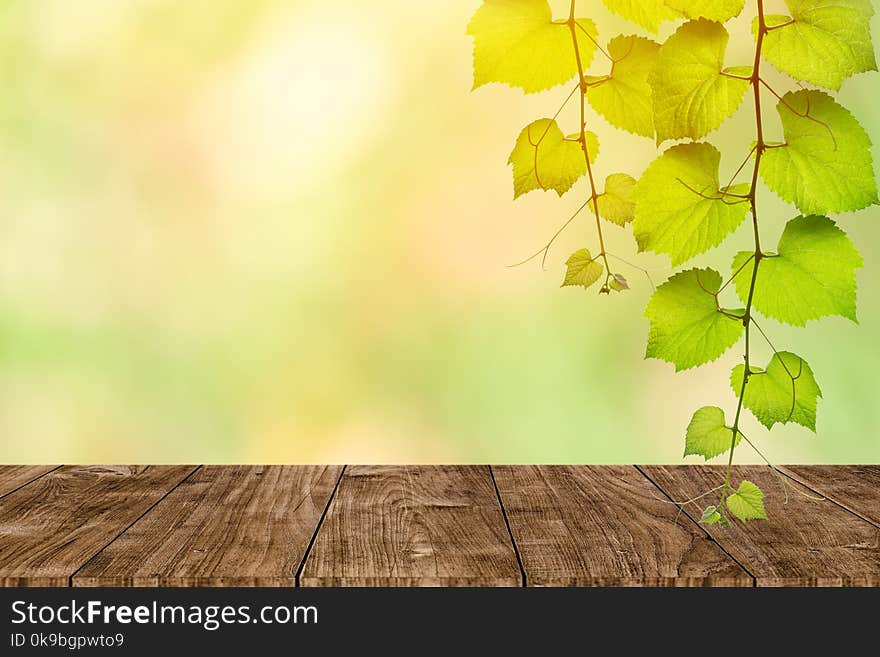 Wooden Table With Nature Blur Green Background