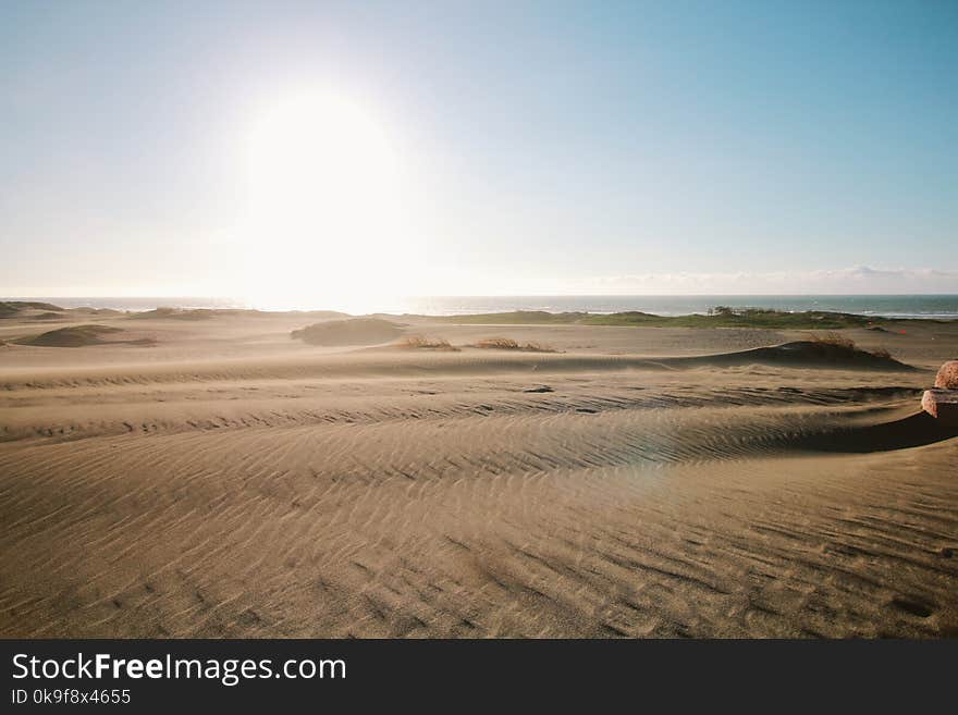 Gray Sand Field