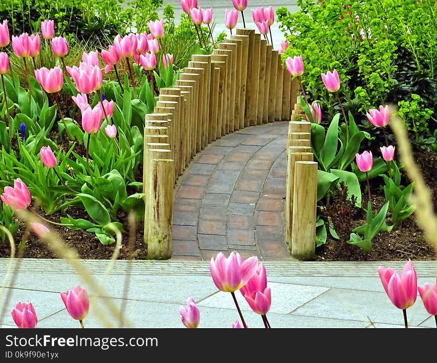 Brown Wooden Garden Fence