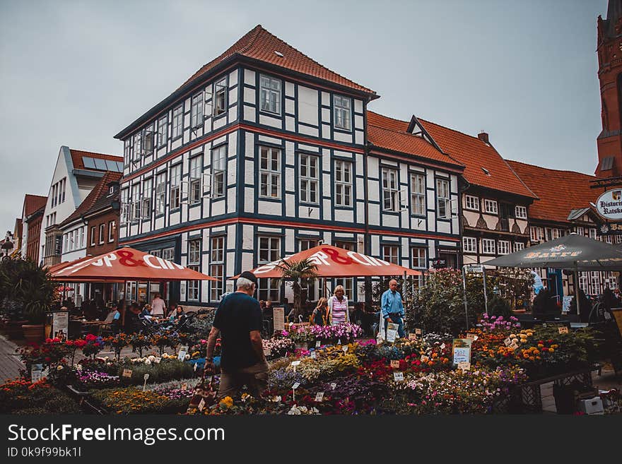 People Standing Beside Flowers Near Building