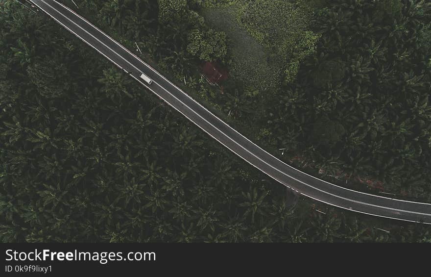 White Truck on Black Road