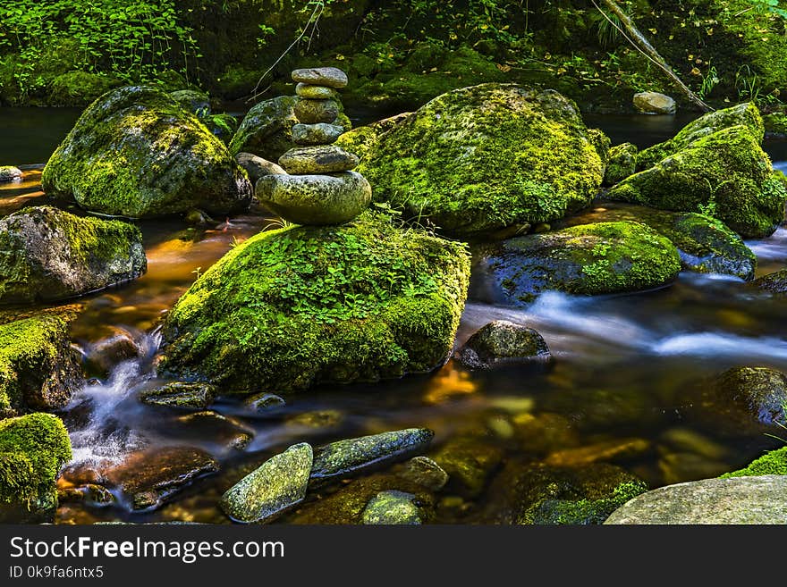 Rocks Covered With Moss