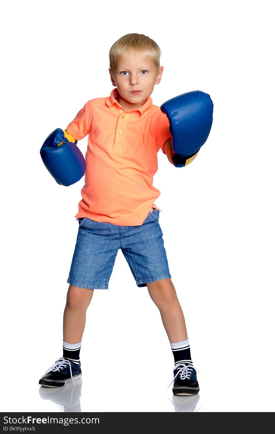 Sports boy in boxing gloves. The concept of a harmonious development of the child, a healthy lifestyle. Isolated on white background. Sports boy in boxing gloves. The concept of a harmonious development of the child, a healthy lifestyle. Isolated on white background.