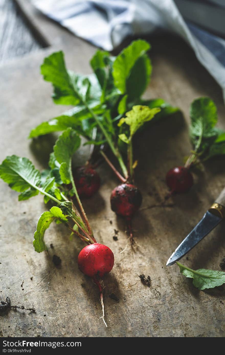 Fresh Radishes on Kitchen Table