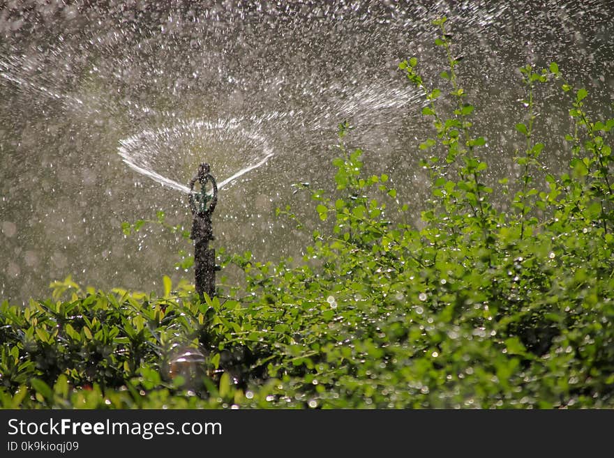 Water sprinkler watering grass in park.