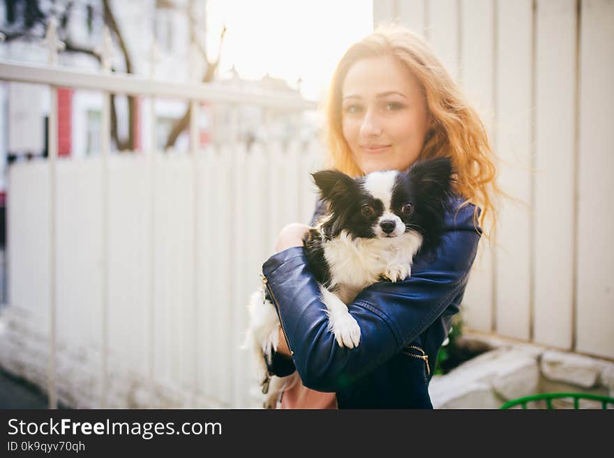 A Young Red-haired Caucasian Woman Holds A Small Funny Dog In The Arms Of Two Colors Of Black And White Chihuahua. Hugs And Kisses