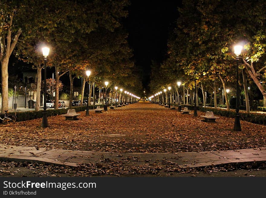 Column of Lighted Lamp Posts