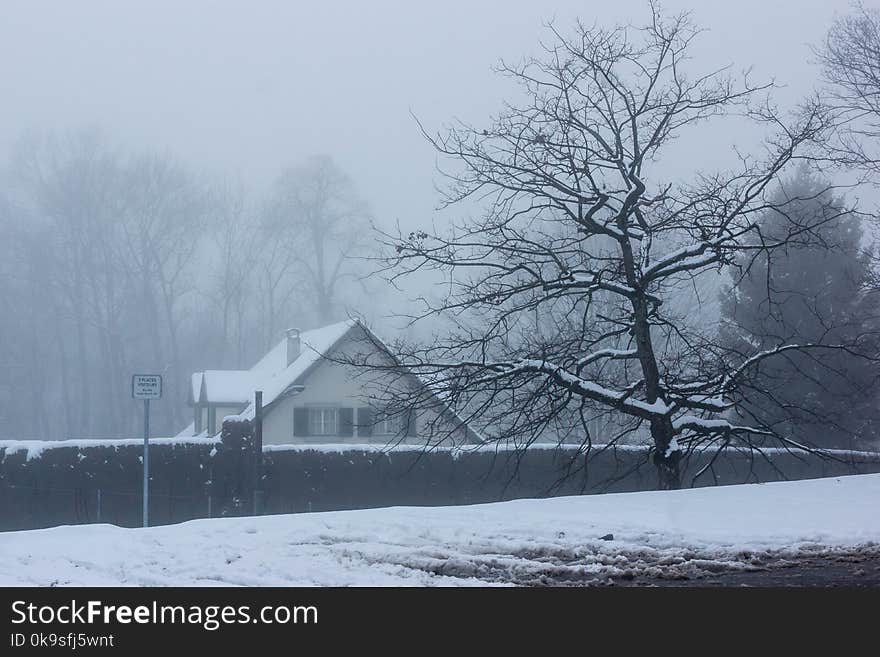 Photo of House Near Tree During Winter