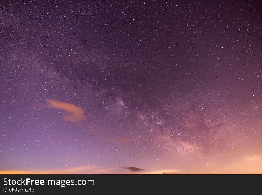 Purple and White Stars