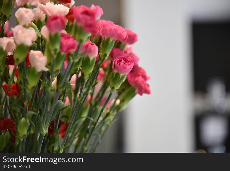 Pink Rose Bouquet