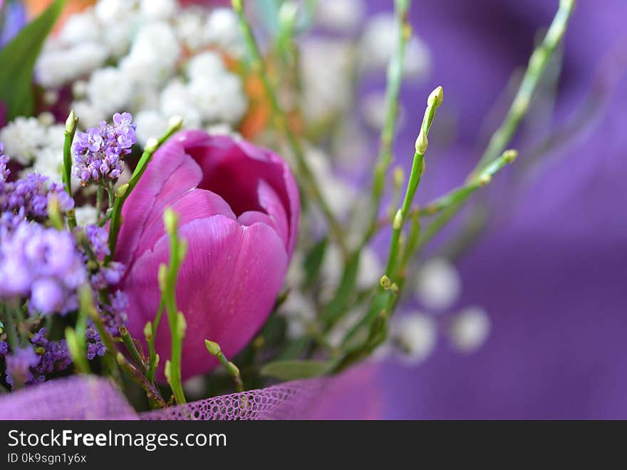 White and Purple Floral Decor