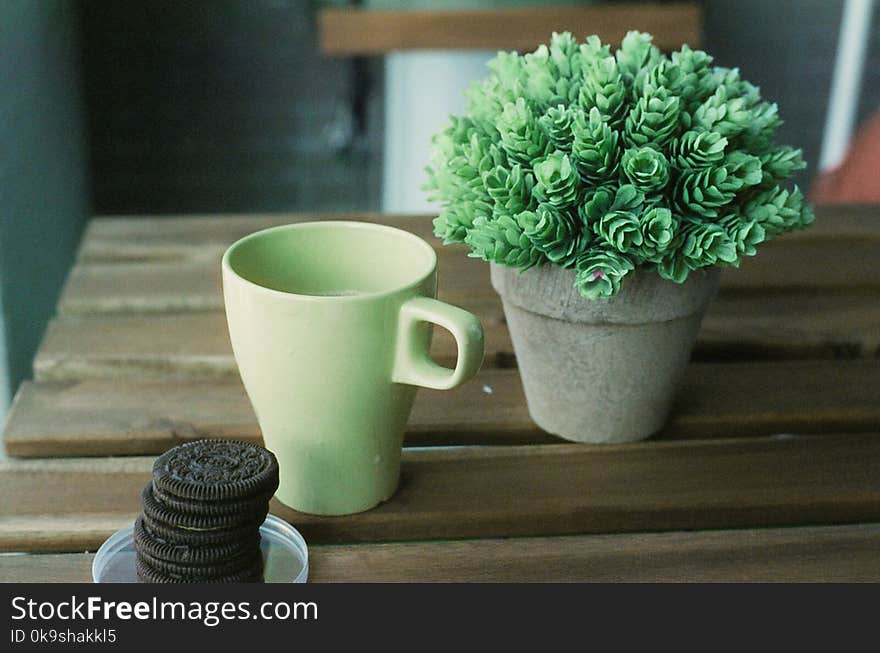 Plant On A Table