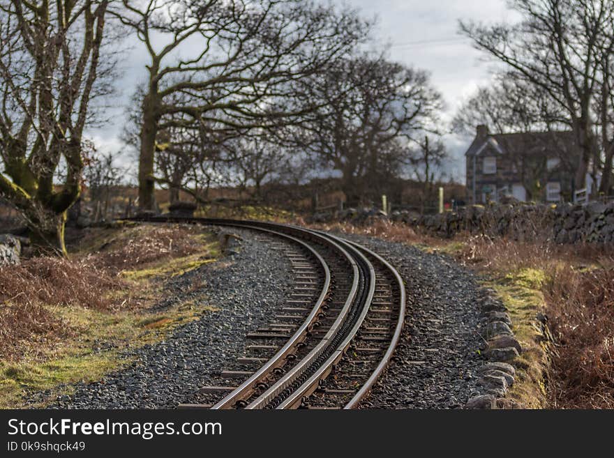 Railway Surrounded By Withered Trees