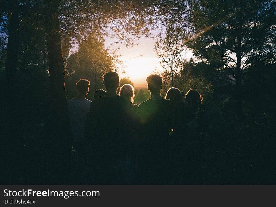 Silhouette of Group of People Between Tree Line