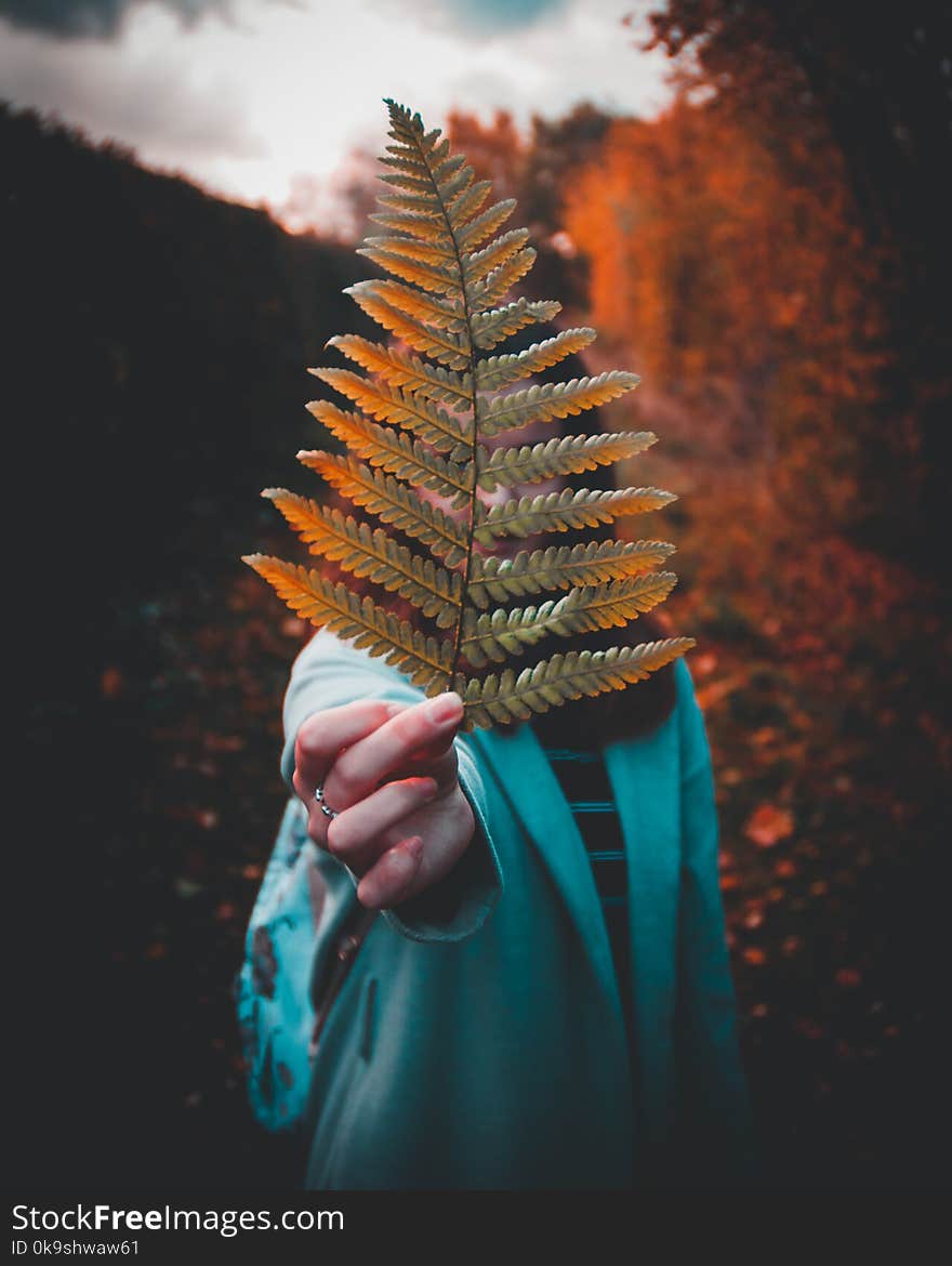 Photography of a Woman Holding Fern