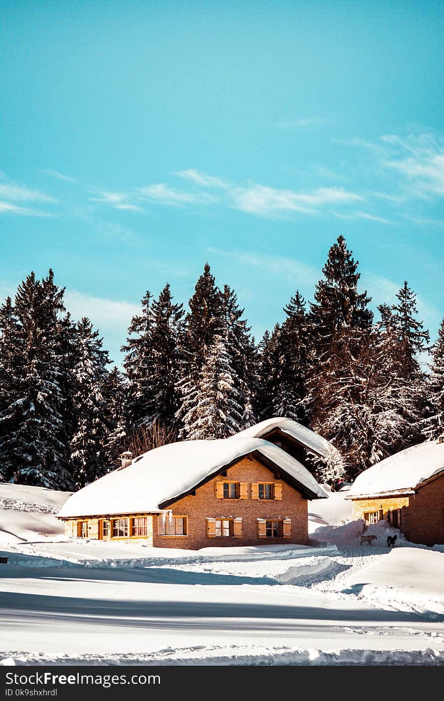 Snow-capped Houses