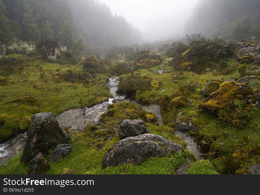 Foggy Valley