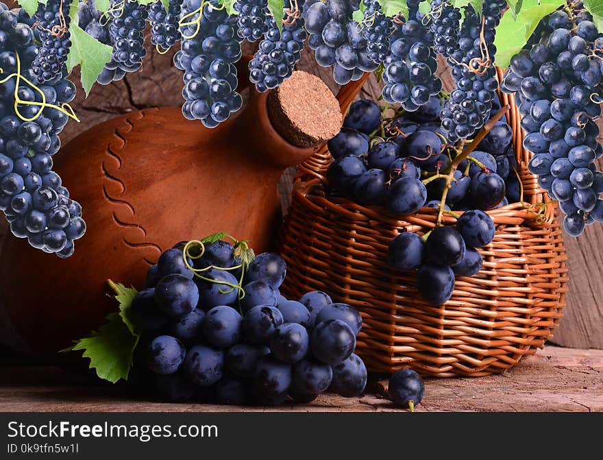 Excellent Georgian wine this year`s harvest