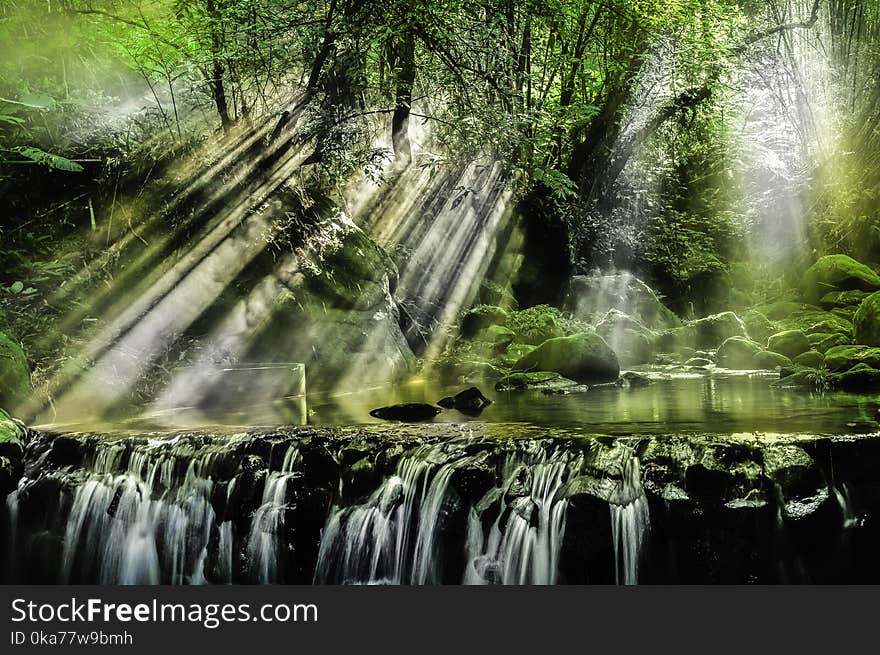 Waterfalls Surrounded by Trees